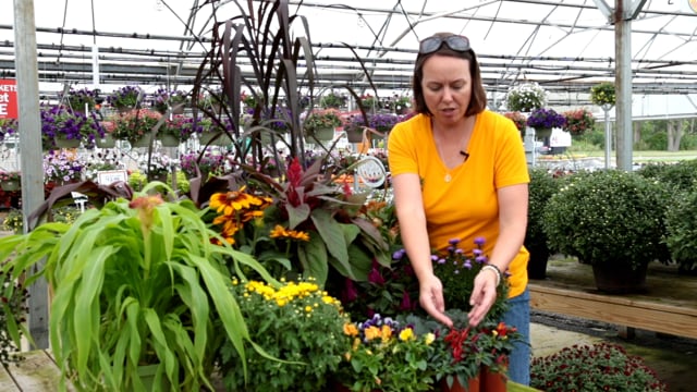 2018 Fall Plant Selection
