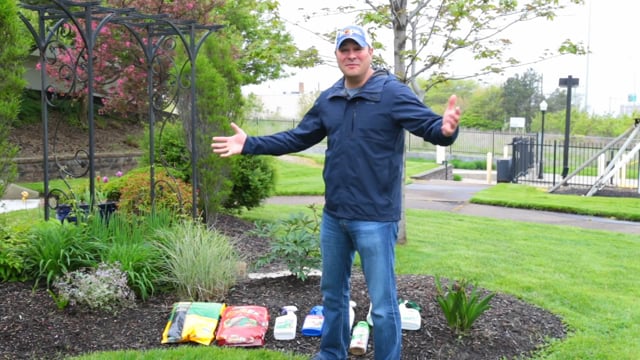 Memorial Day Yard Care Tips