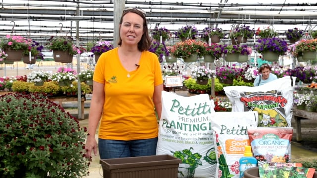 Seeding Cold Crops