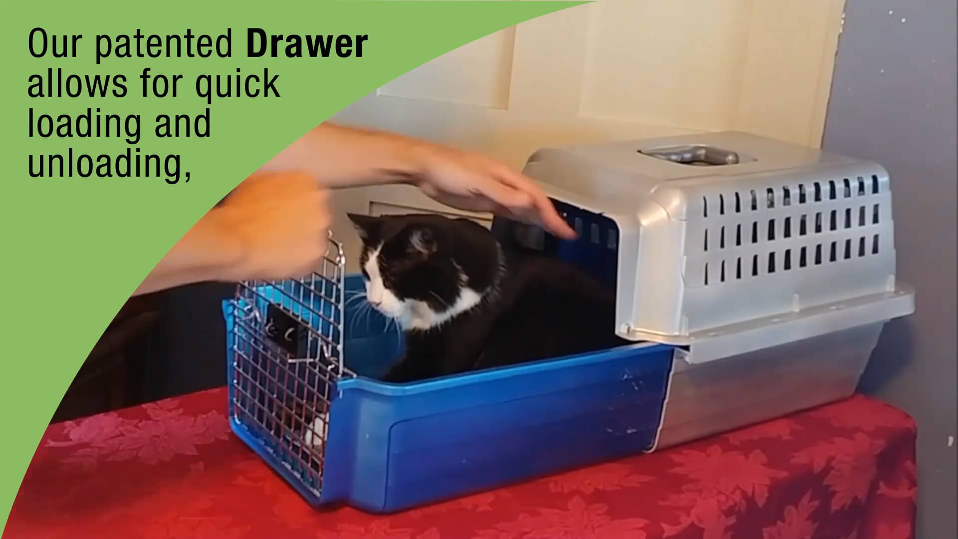 Stress Reducing Cat Carrier Solutions Reference: Vet Approved Anxiety Reducing Calm Carrier On Vimeo