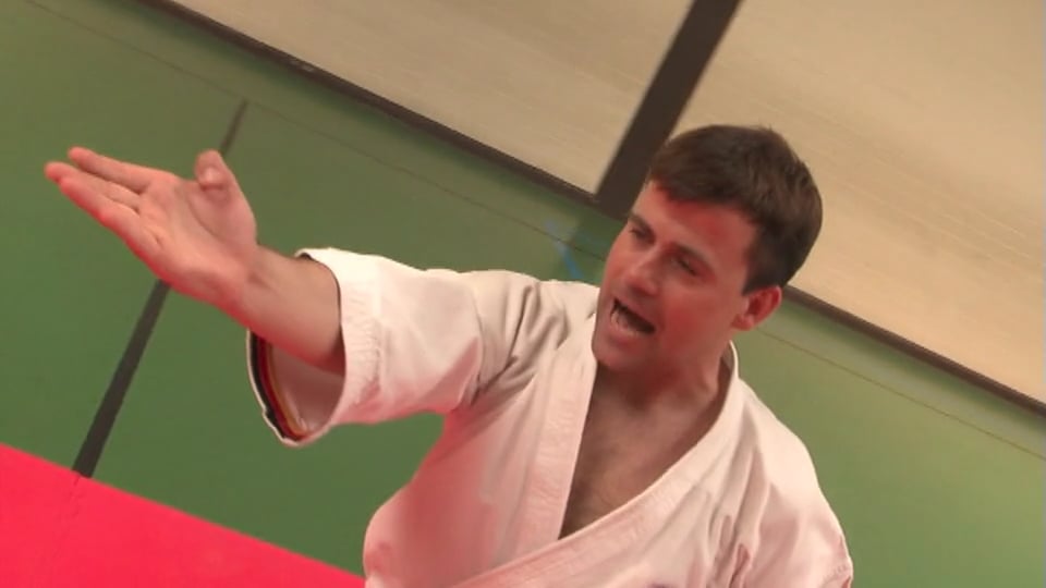 Watch Shotokan & Shito Ryu Karate Katas De La Ceinture Blanche á la Ceinture Noire par Marcus
