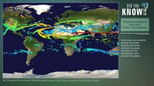 At left is a map of Earth with colorful blotches spread across in an irregular pattern. In the top right corner is the "Did You Know?" logo. Just below is a green box with text that reads "Volcanic eruptions can cool Earth's atmosphere." More text appears below.