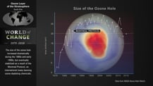 In the top left is title text that reads "Ozone Layer of the Stratosphere, South Pole." Just below is a map of the world. Further below is the "World of Change" logo, which has text underneath it. To the right is a graph showing the changing size of the ozone hole over time.