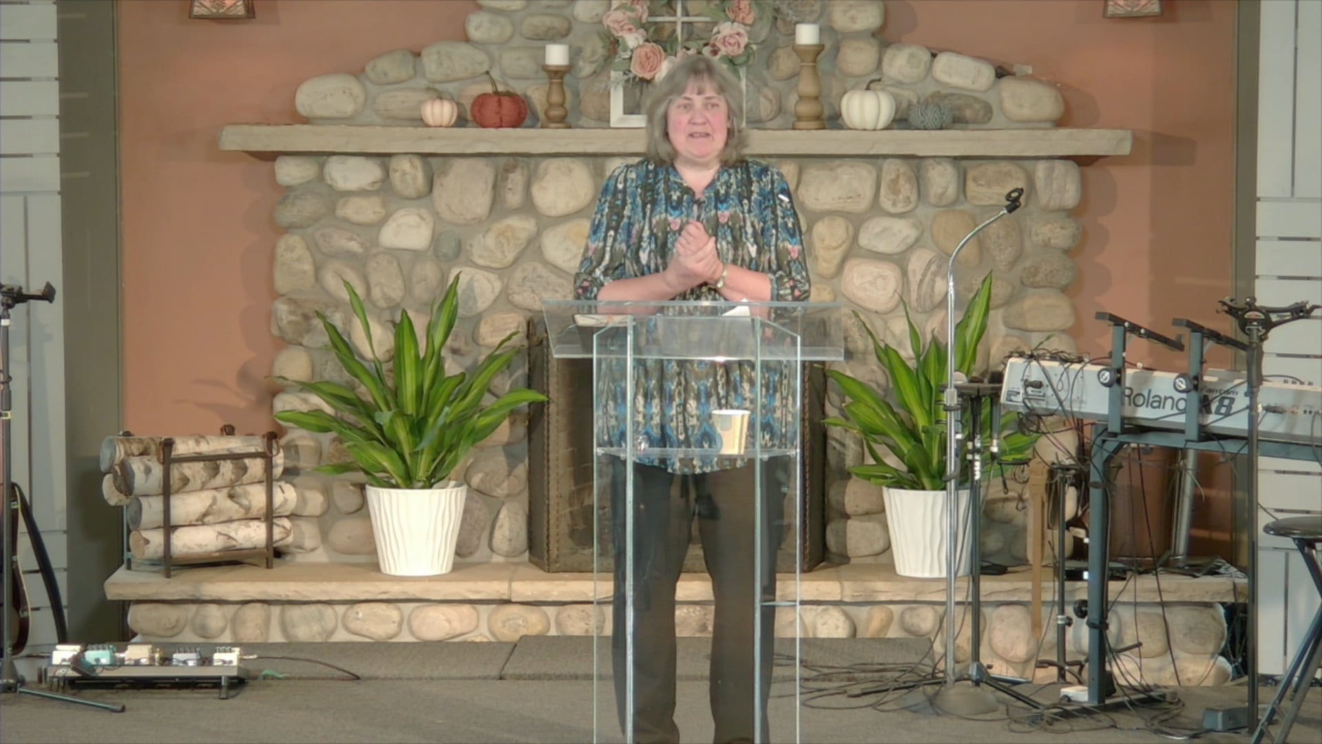 09/08/19 - Sunflowers