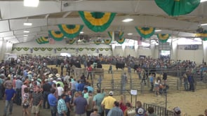 2019 Colorado State Fair