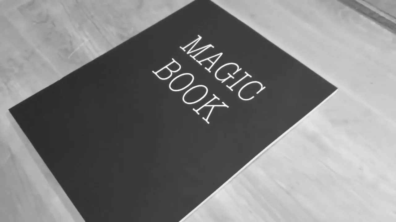 マジック・ブック（絵に秘められた不思議）｜書籍・解説書（日説付