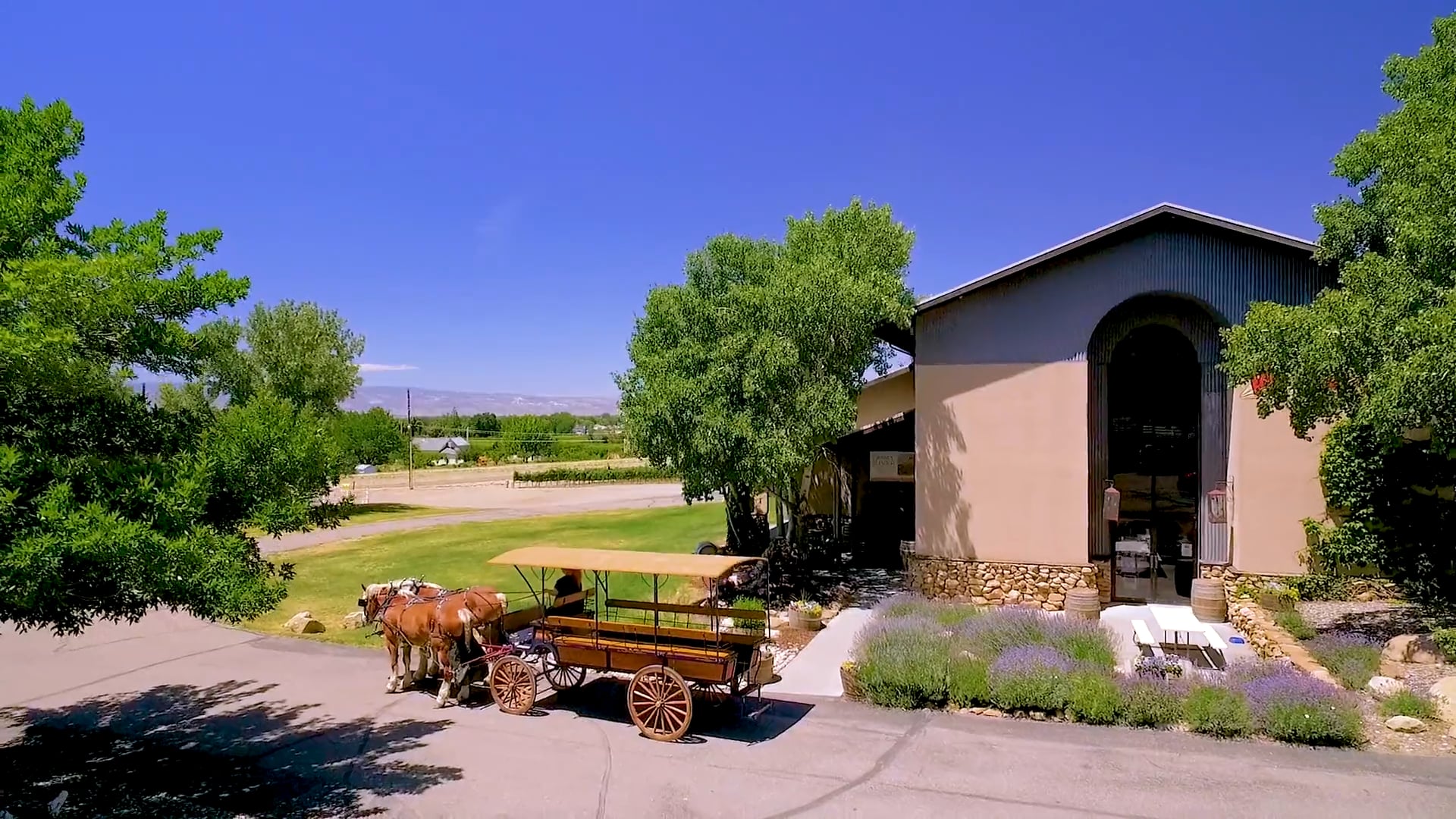 787 37 3/10 Rd, Palisade, CO Grande River Vineyards Fruit and Wine