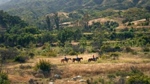 Ojai Valley Inn - Customer Success Story