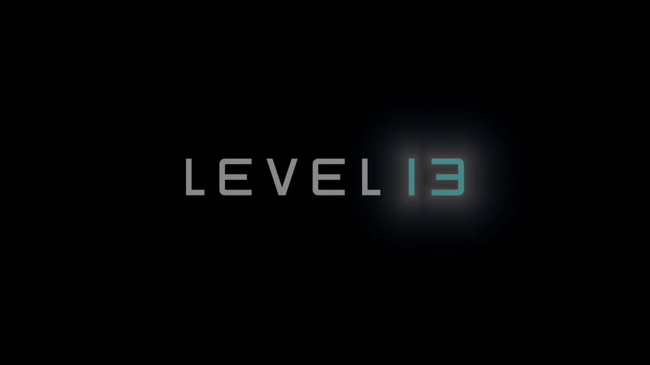 LEVEL 13