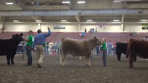 2019 Nebraska State Fair