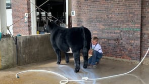 2019 Iowa State Fair