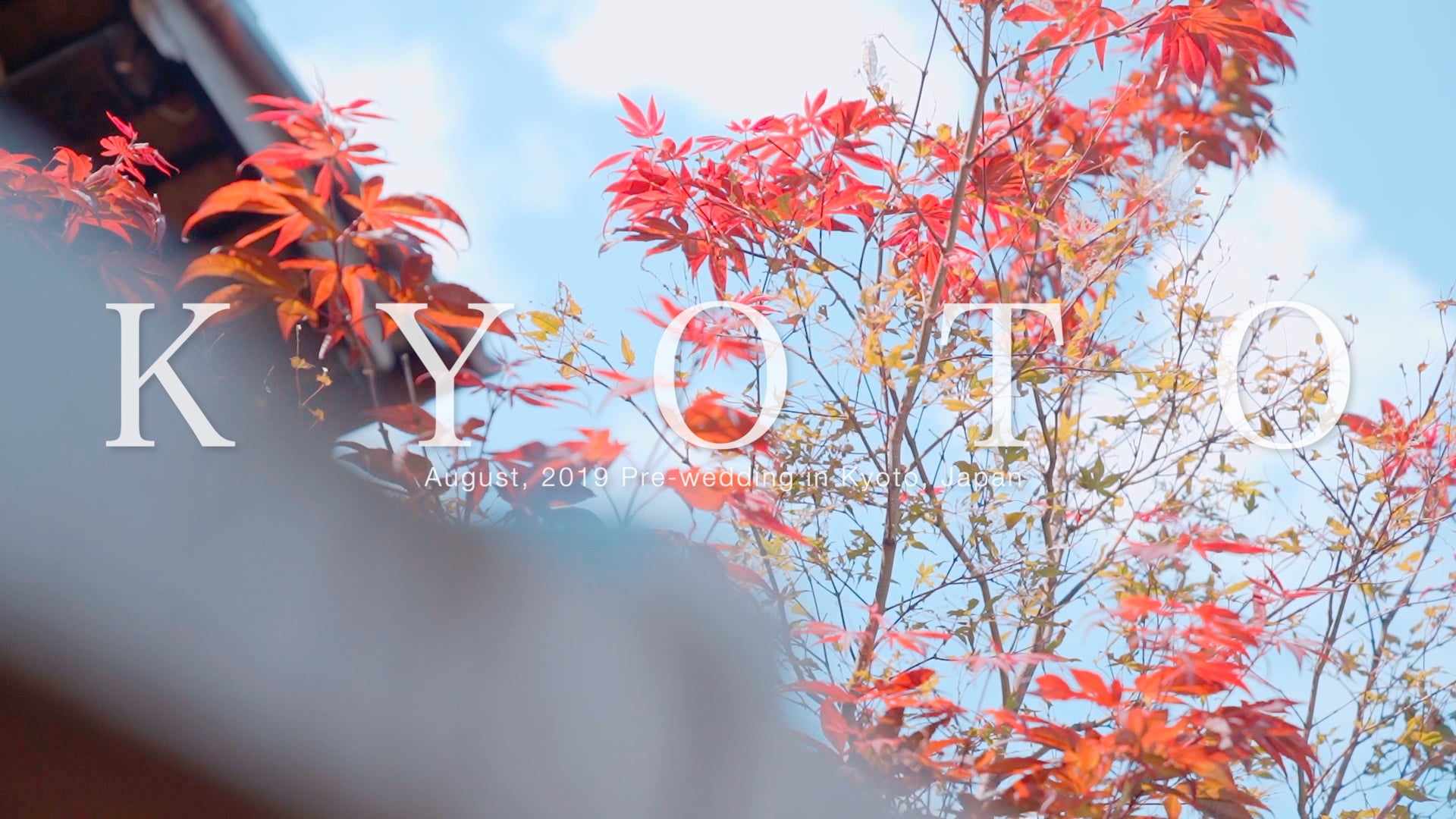 《Pre-wedding》2019海外婚紗 / 崇儒&瑋伶 / 日本京都Kyoto