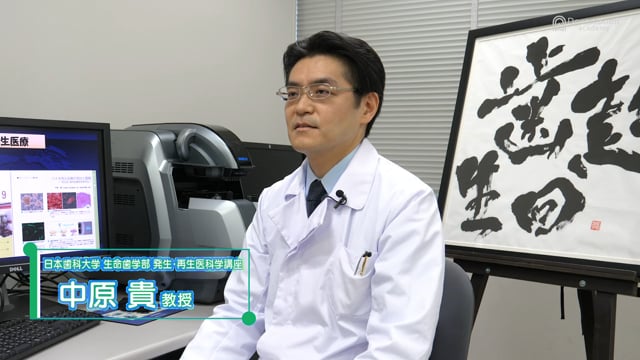 【Proflab】日本歯科大学 生命歯学部 発生・再生医科学講座 #1 講座紹介