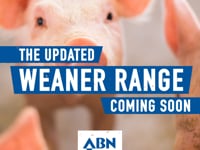 ABN - Customer Success Story