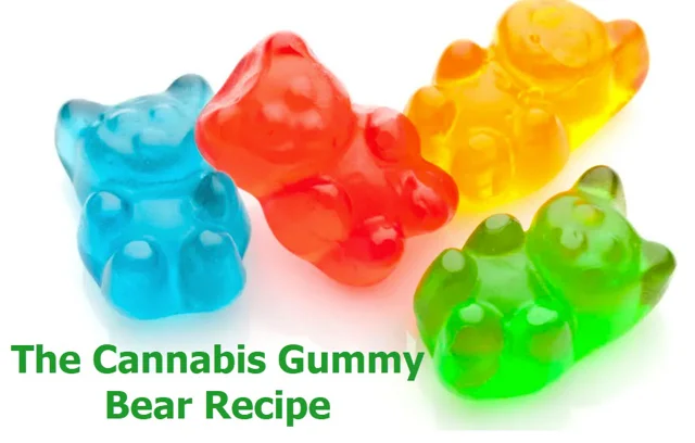 Medium Sized Silicone Gummy Bear Mold by The Modern Gummy with Dropper and Pinch