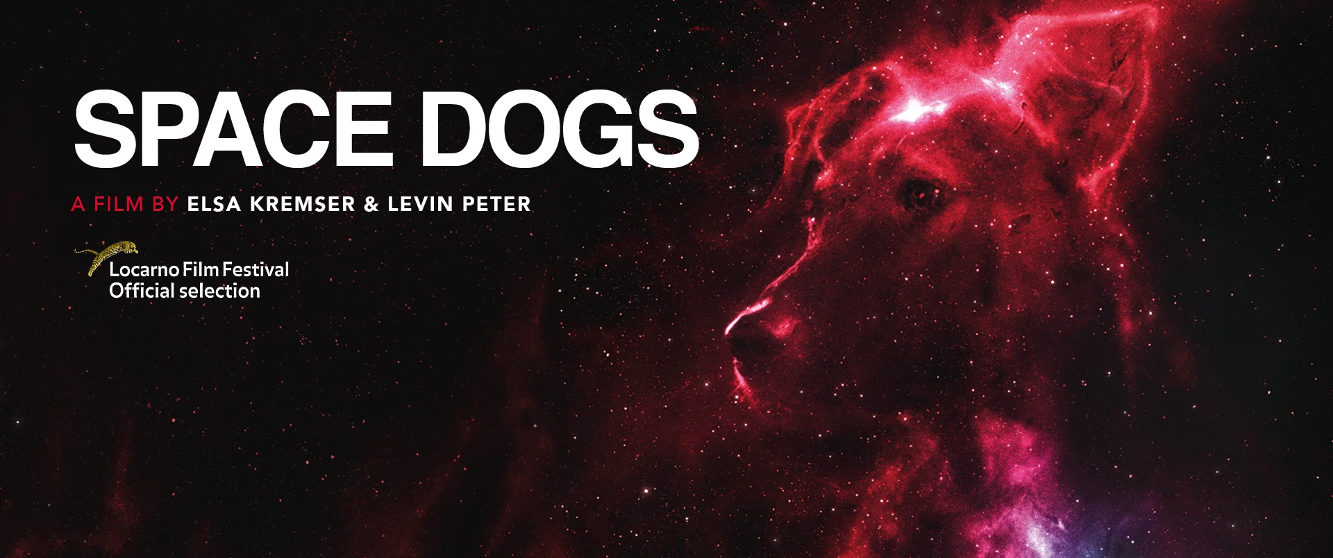 Space dogs