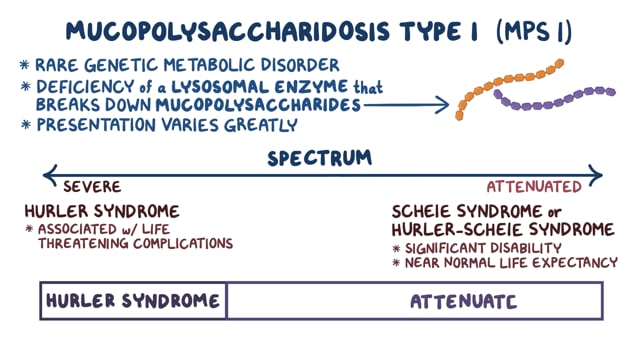 Mucopolysaccharidosis Type I Symptoms, Causes, Treatment, 55% OFF