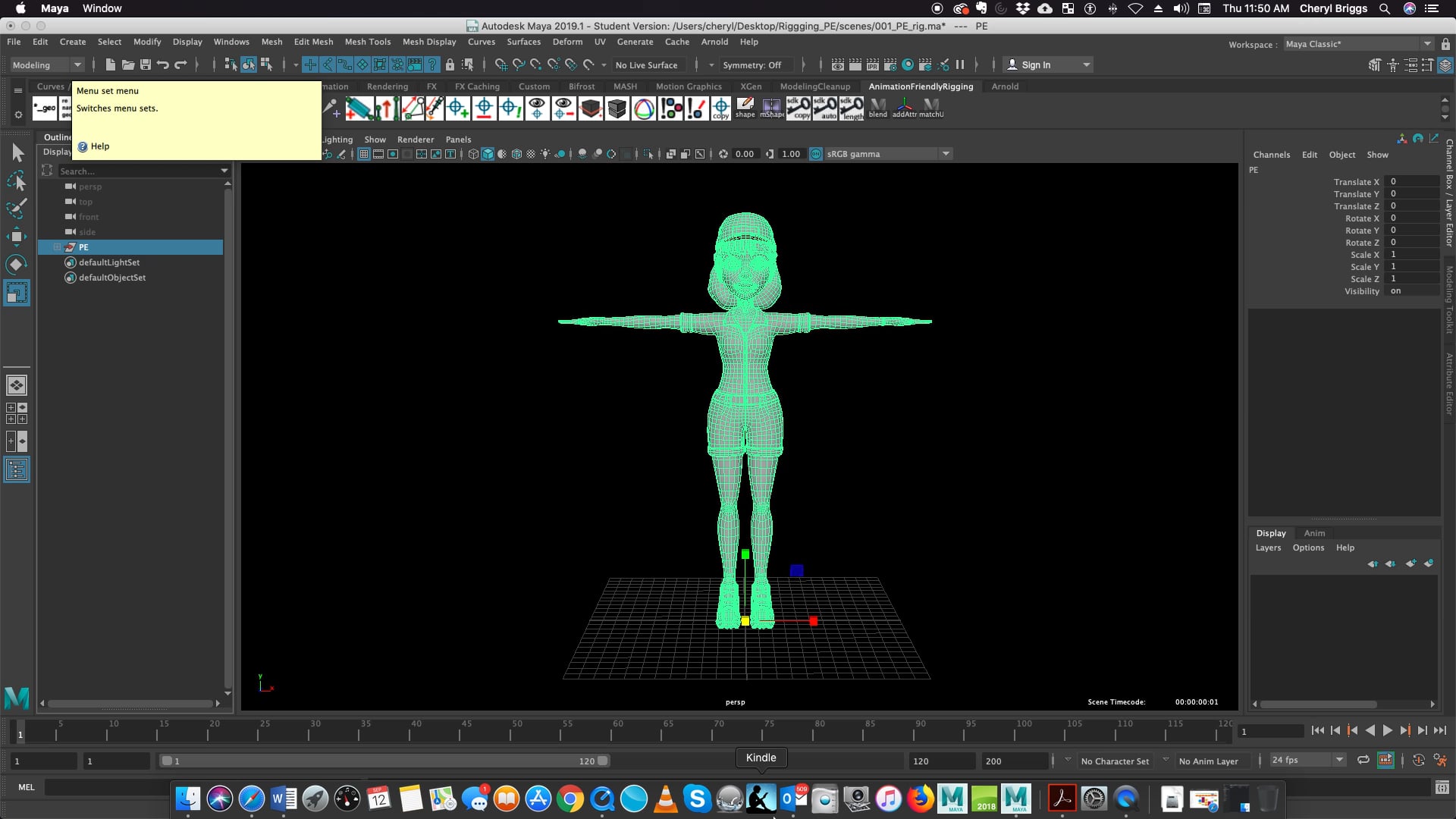 Advanced Character Rigging