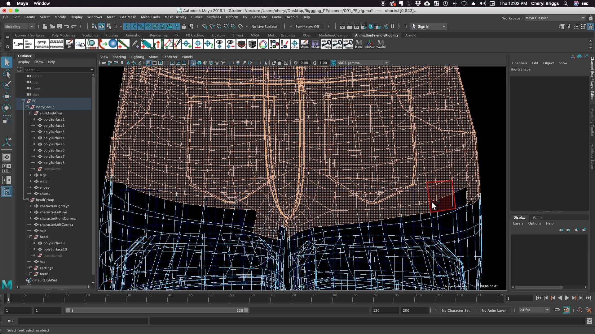 01_AFR_TORSO_CHECKLIST_PT1a