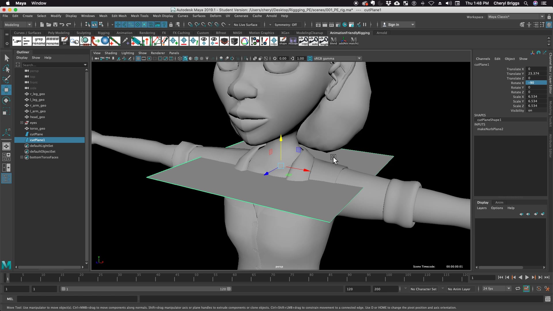 01_AFR_TORSO_CHECKLIST_PT1b
