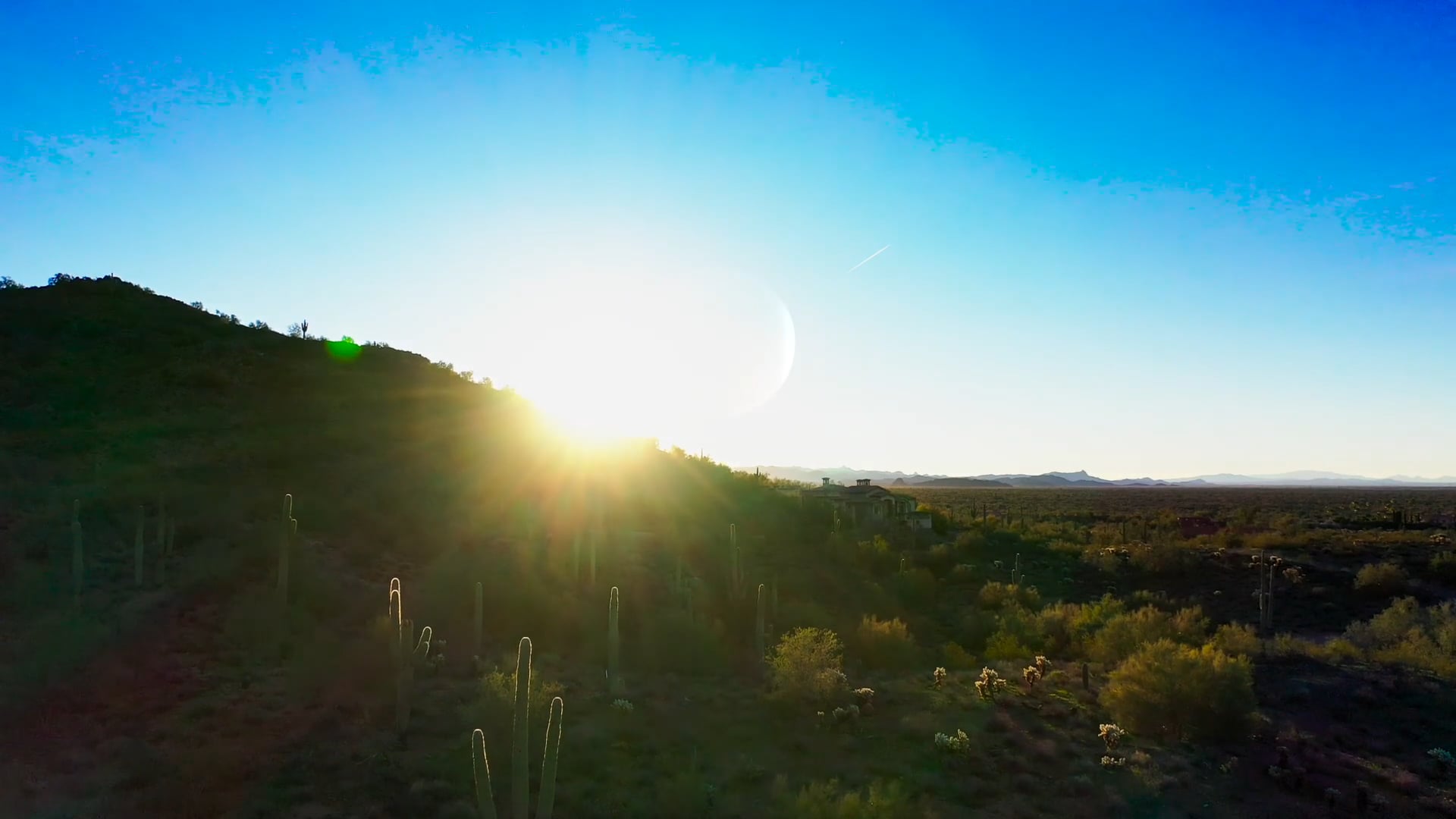 Blue Lemon Visual Reel w: Music Vimeo