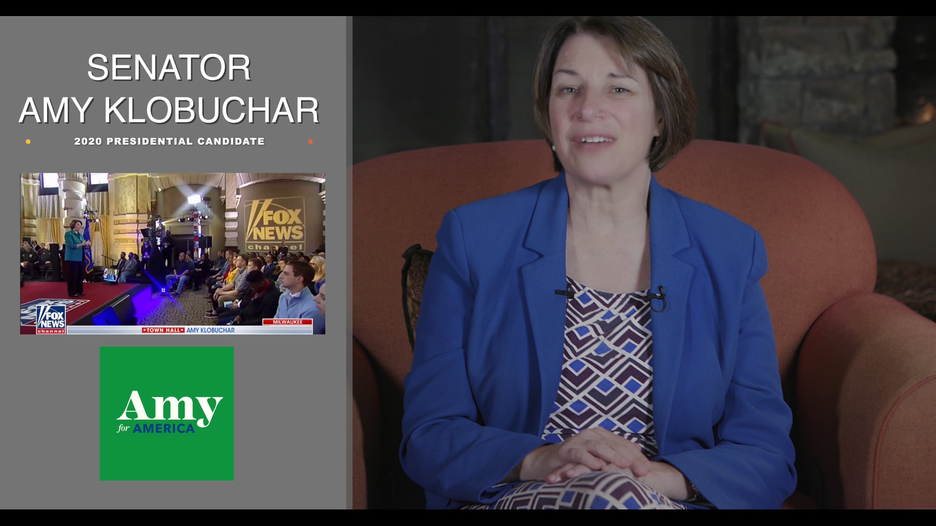 POLITICAL CAMPAIGNS