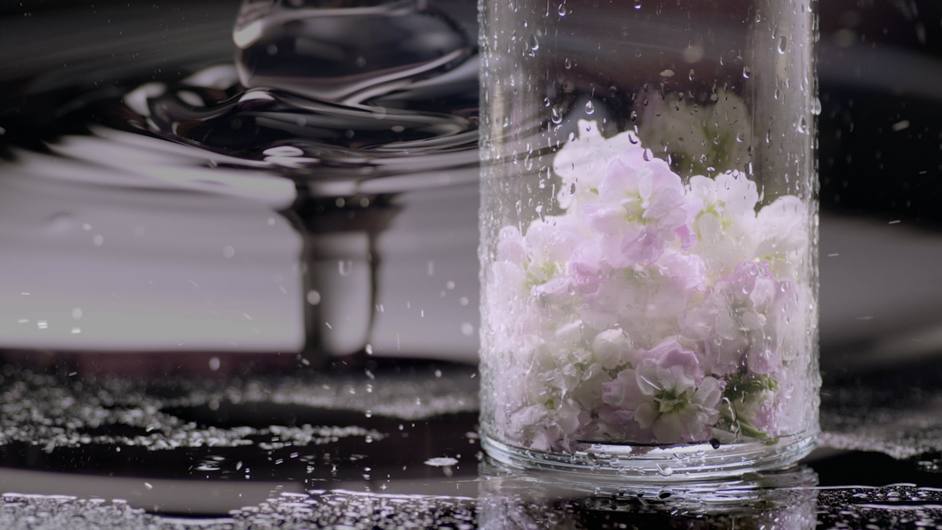 【彩豐行】 白麝香沐浴露 TVC