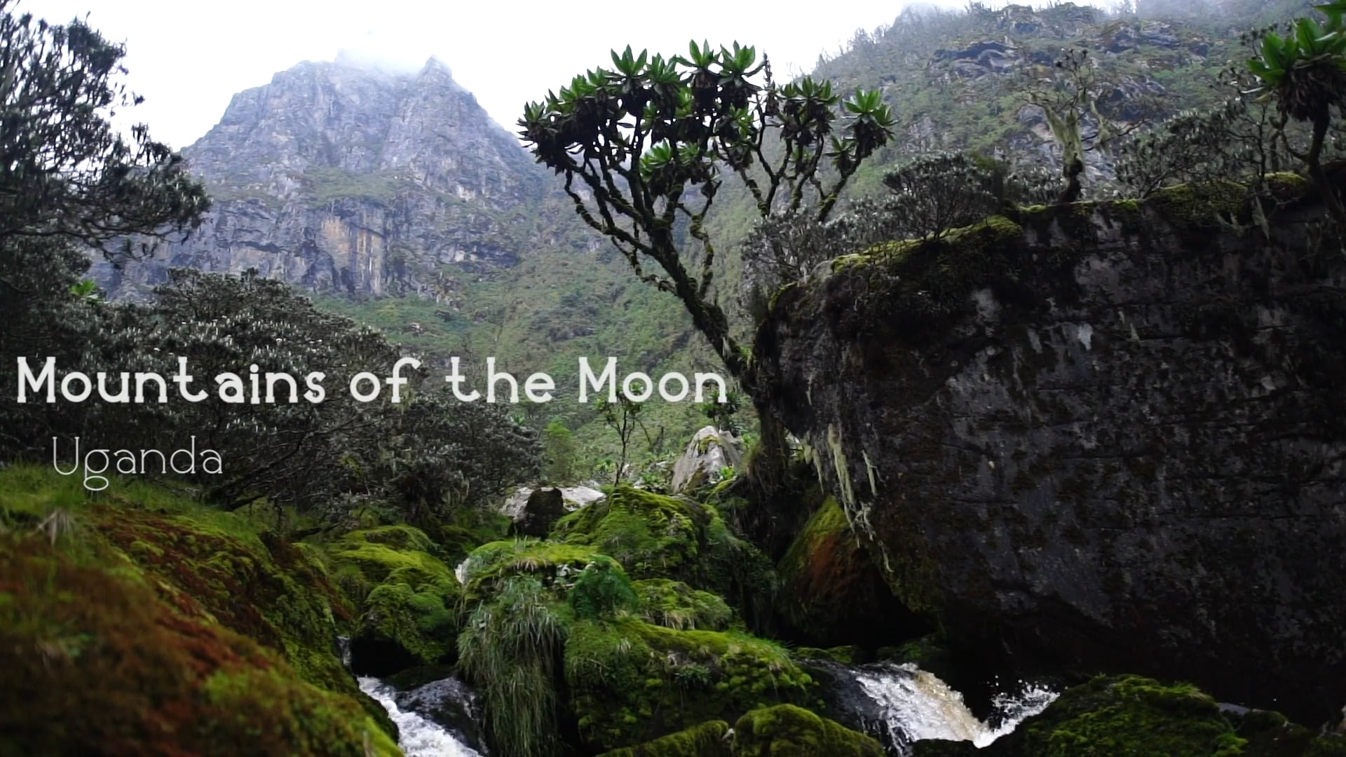 Rwenzori Mountains of the Moon
