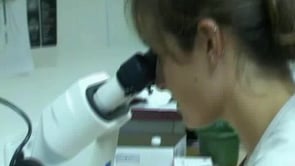 Segueix el control del mosquit tigre