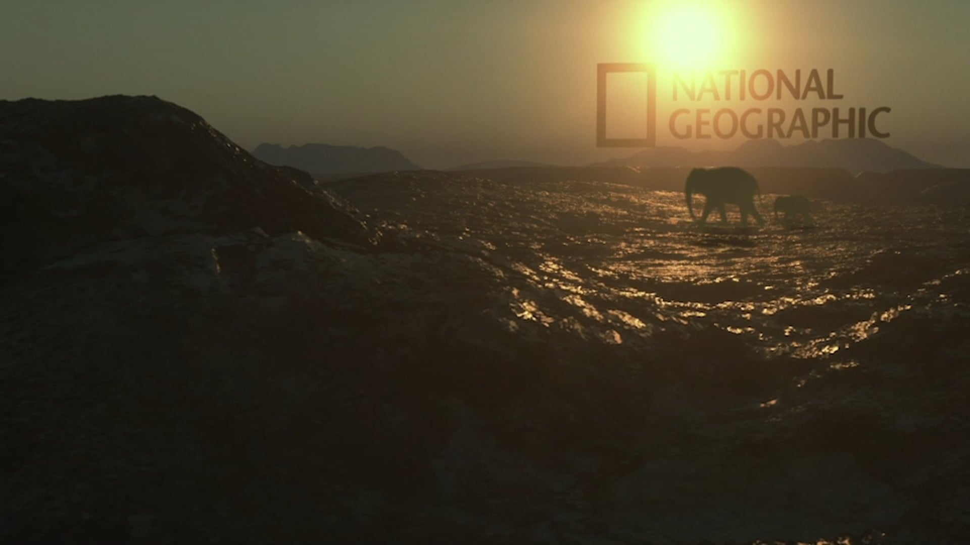 Netwrok ID : Nat Geo