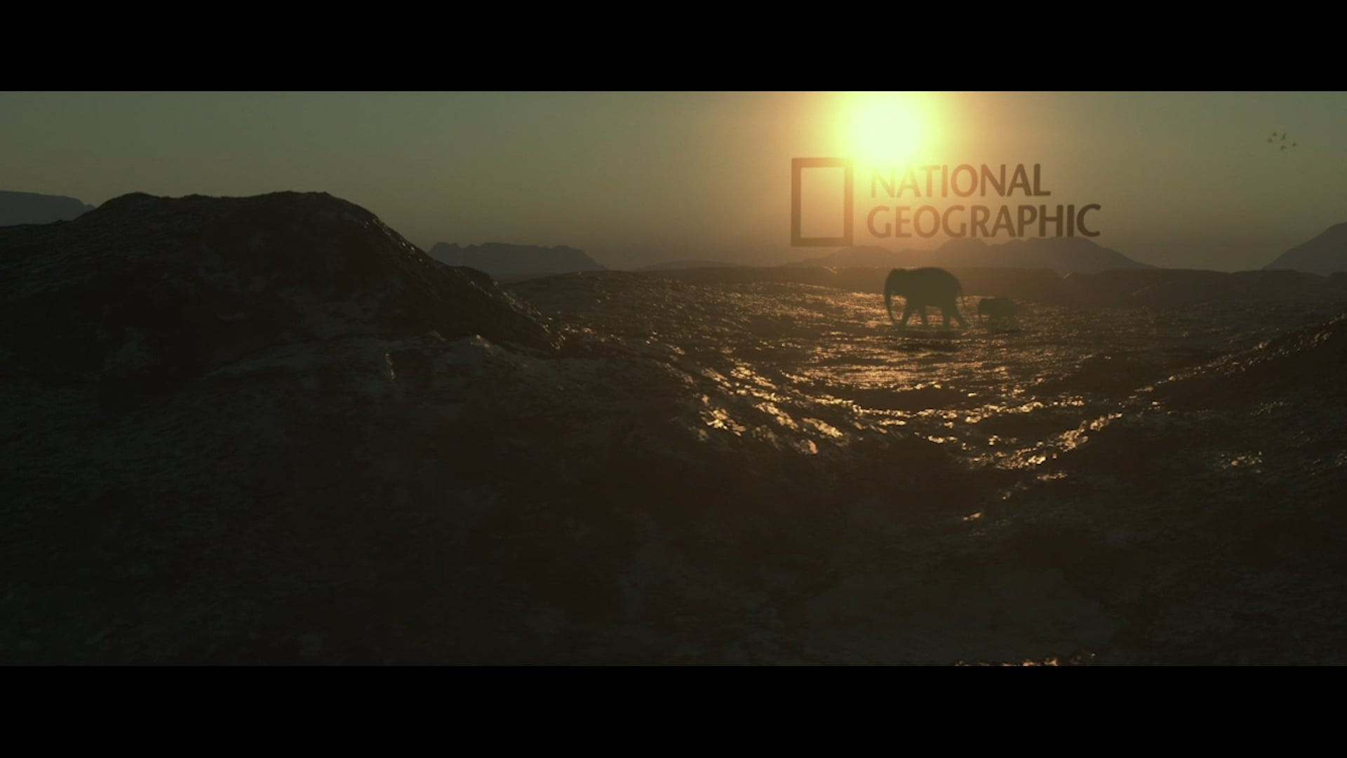 Netwrok ID : Nat Geo