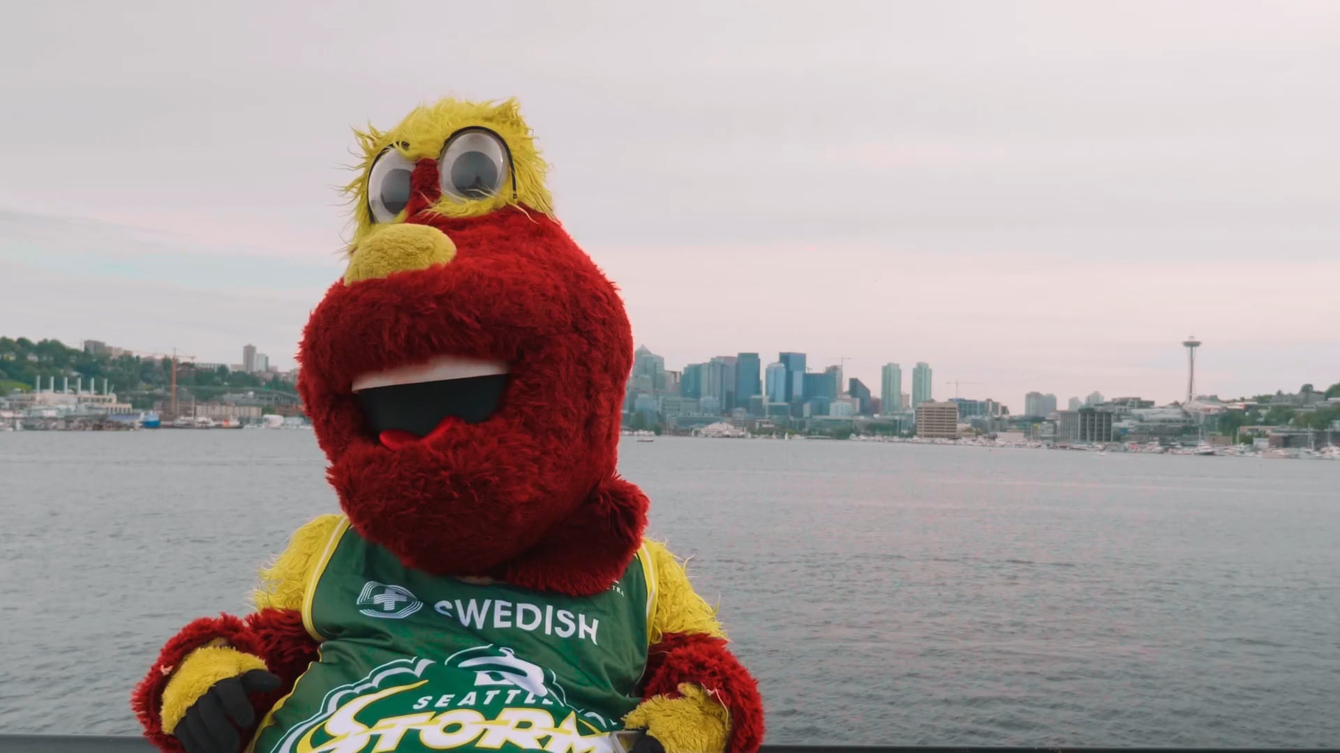 Seattle Storm // Mobile Ticket Tutorial