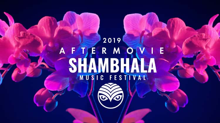 Shambhala 2020 deals