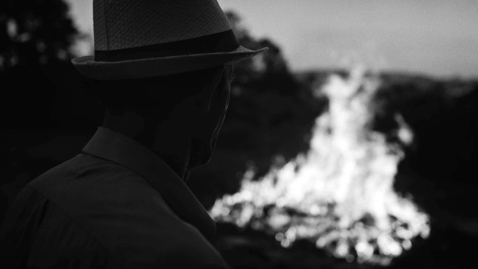 CARBON by F. Hermini