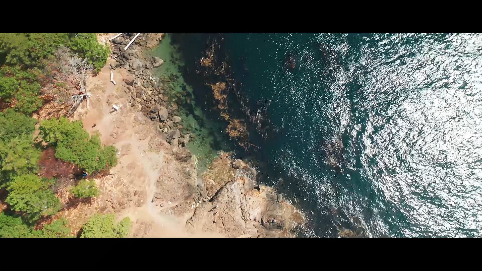 Kate + Brendan | Roche Harbor, Washington | Short Film