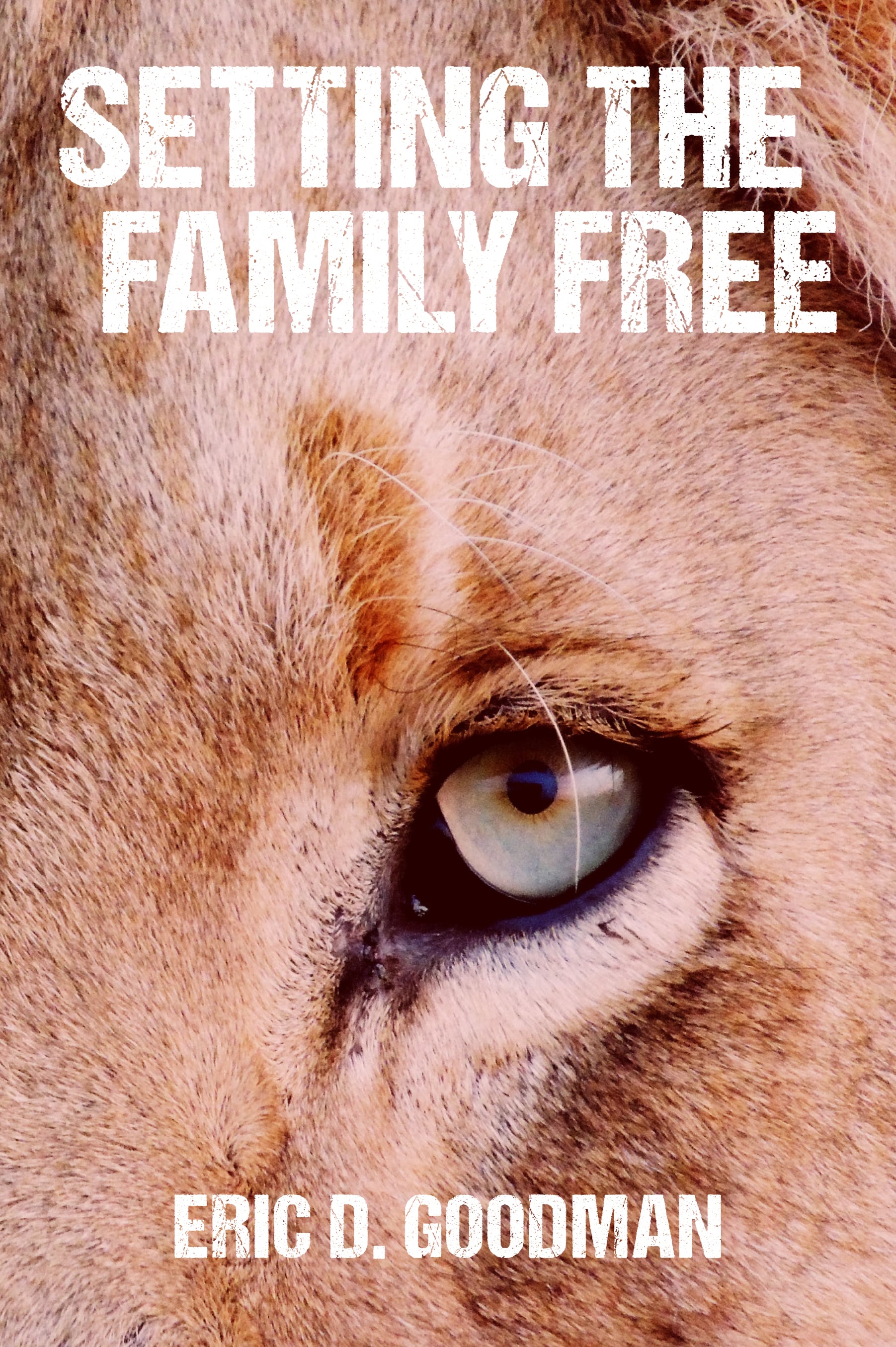 Setting The Family Free Promo