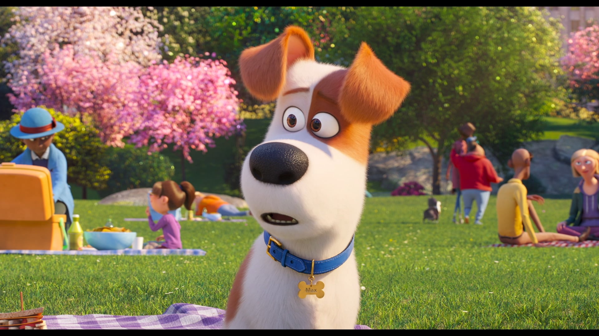 The Secret Life of Pets 2 – How to Draw