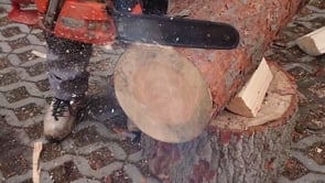 Wood Attraction
