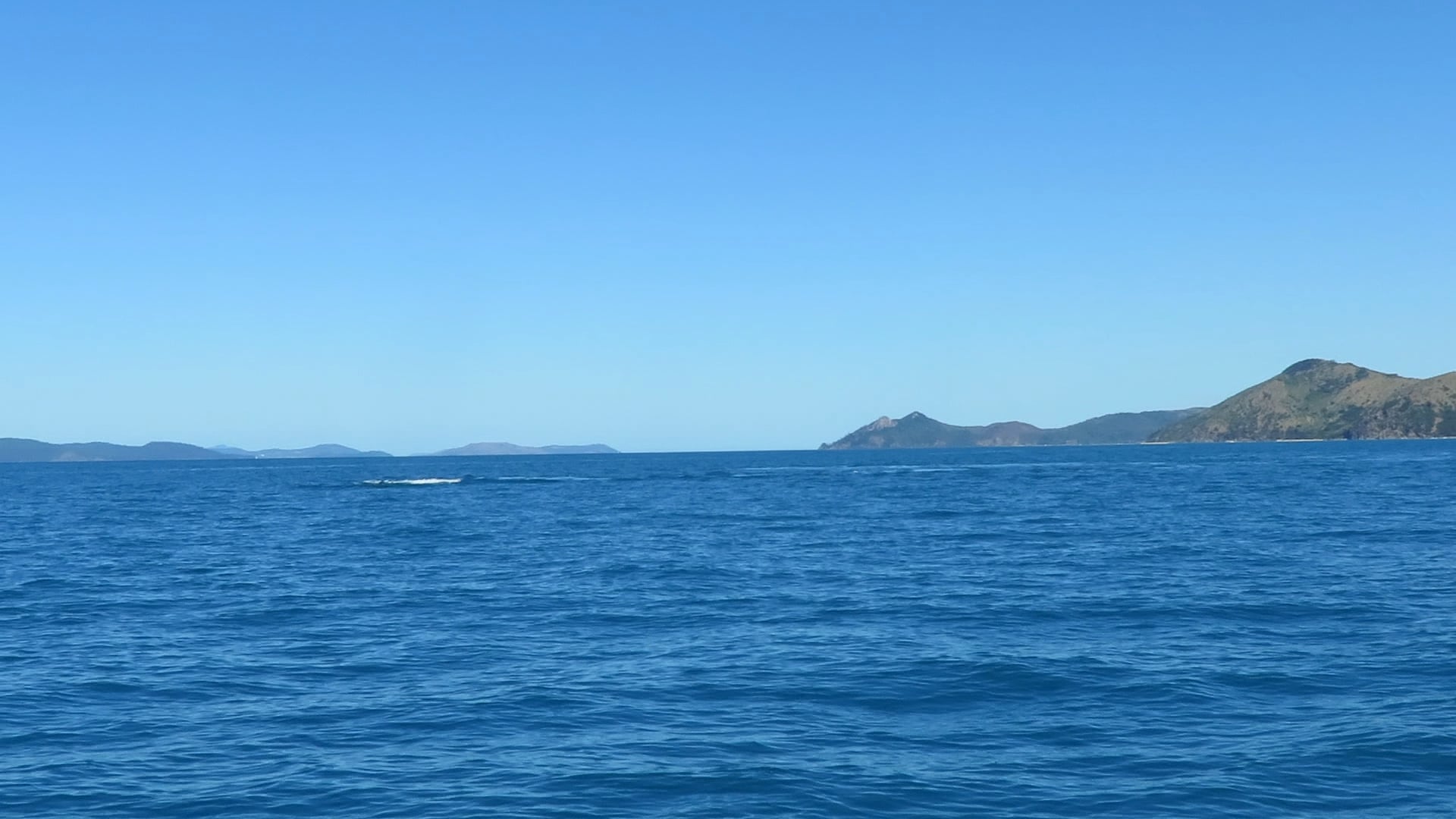 Whitsunday Whales 052 on Vimeo