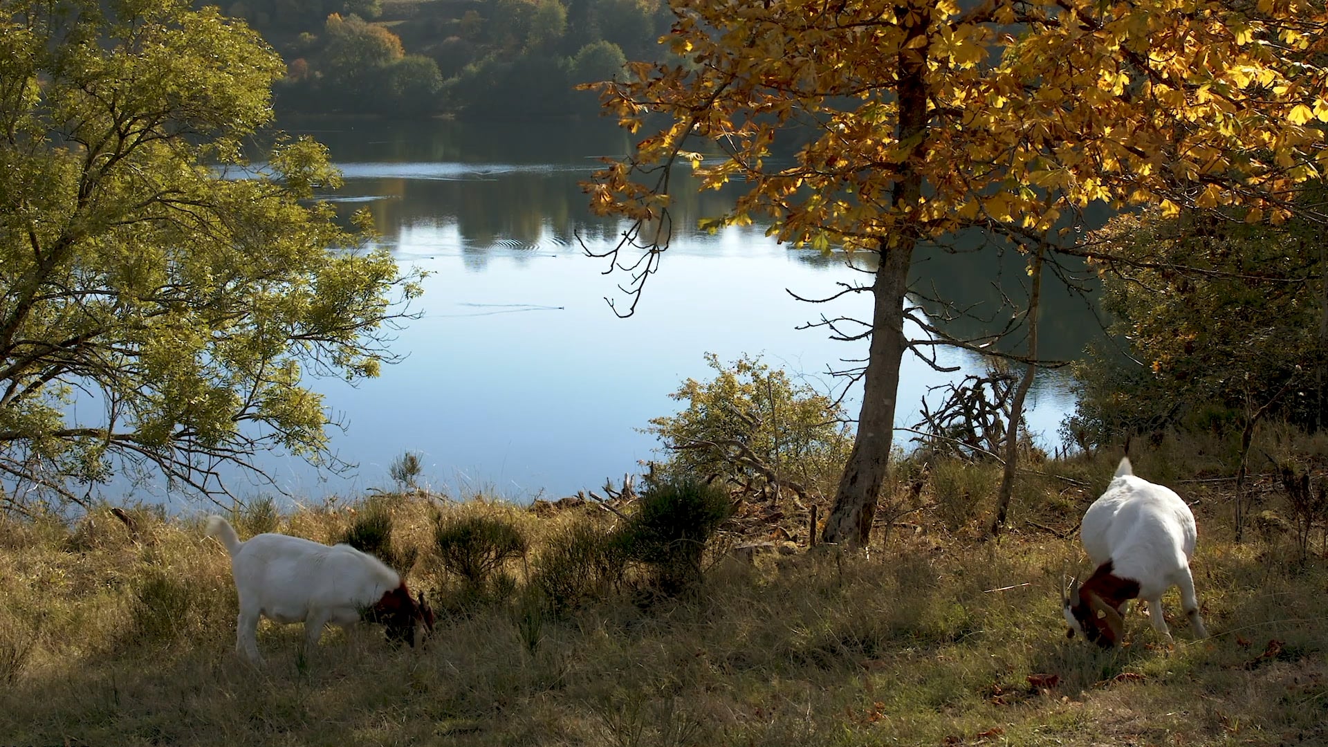TerraX Trailer Eifel