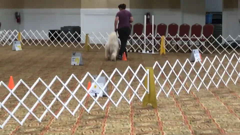Ozzy rally debut on Vimeo