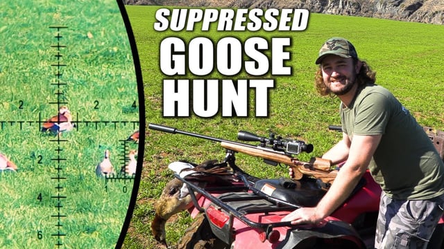 Airgun Evolution - Reviews / Hunting / BB Guns - Goose Control With ...