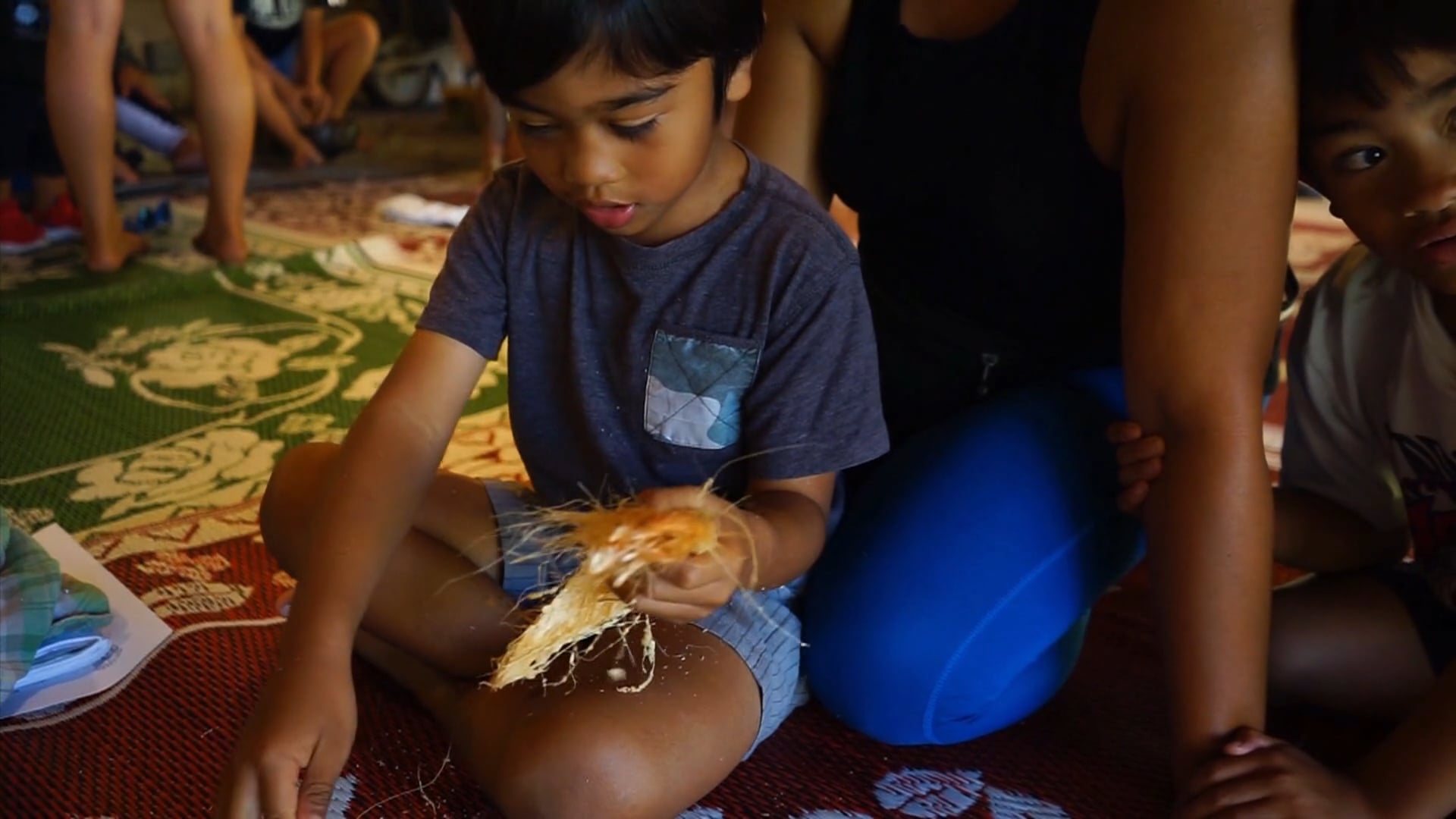 Coconut Rhinoceros Beetle - a Threat to the Indigenous Hawaiian Culture