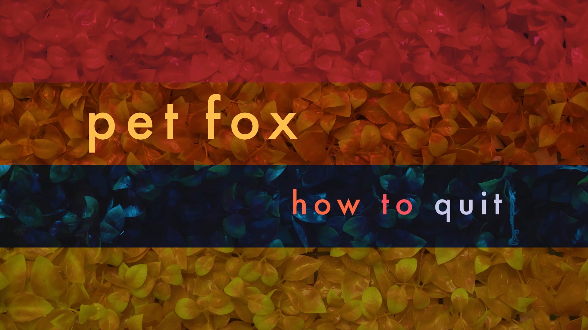 Pet Fox - How To Quit