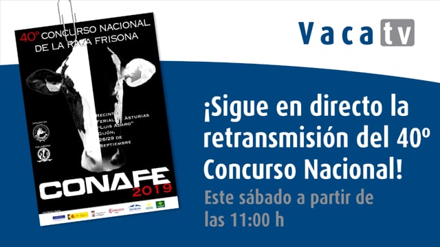 Previa Nacional 2019