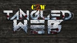 CZW A Tangled Web X