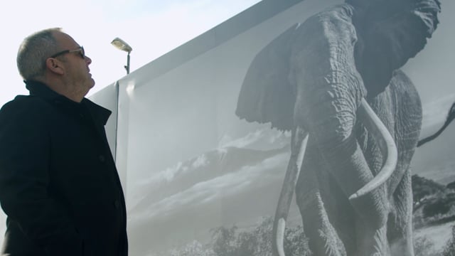 David Yarrow @ Fineart Oslo, 2019