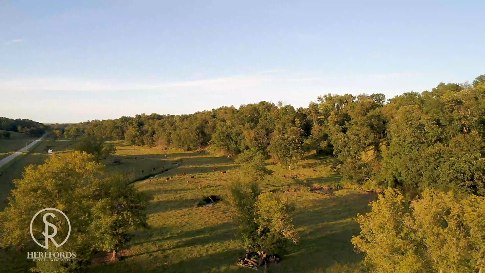 SandRock Ranch Herefords Intro