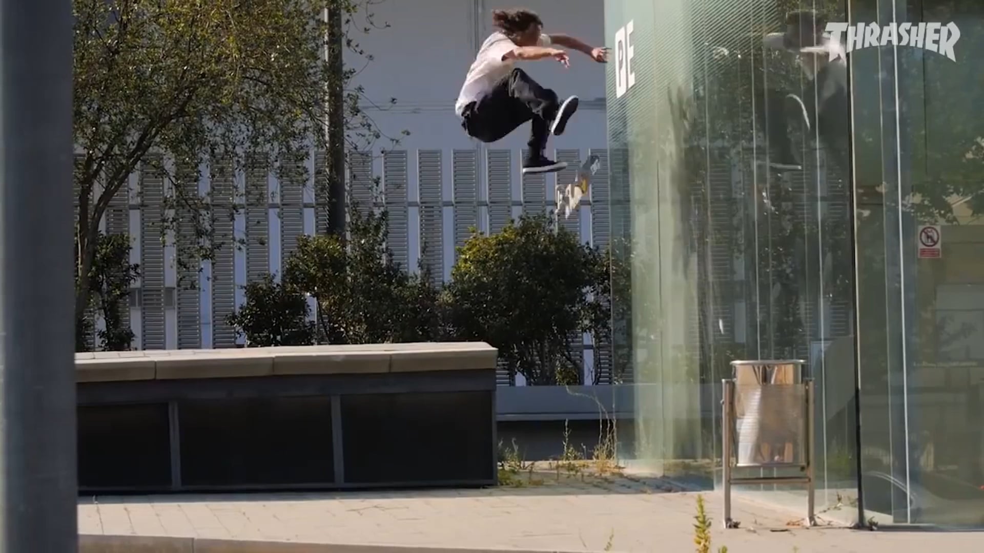 Evan Smith: Zygote Re-Cut