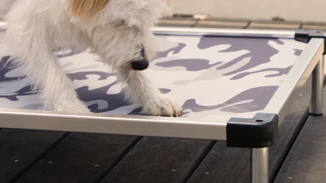 Filled Tri-fold Crate Dog Mat - M - Boots & Barkley™ : Target